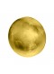 Hoplomachus shield (brass)